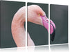 Flamingo im Seitenprofil Leinwandbild 3 Teilig