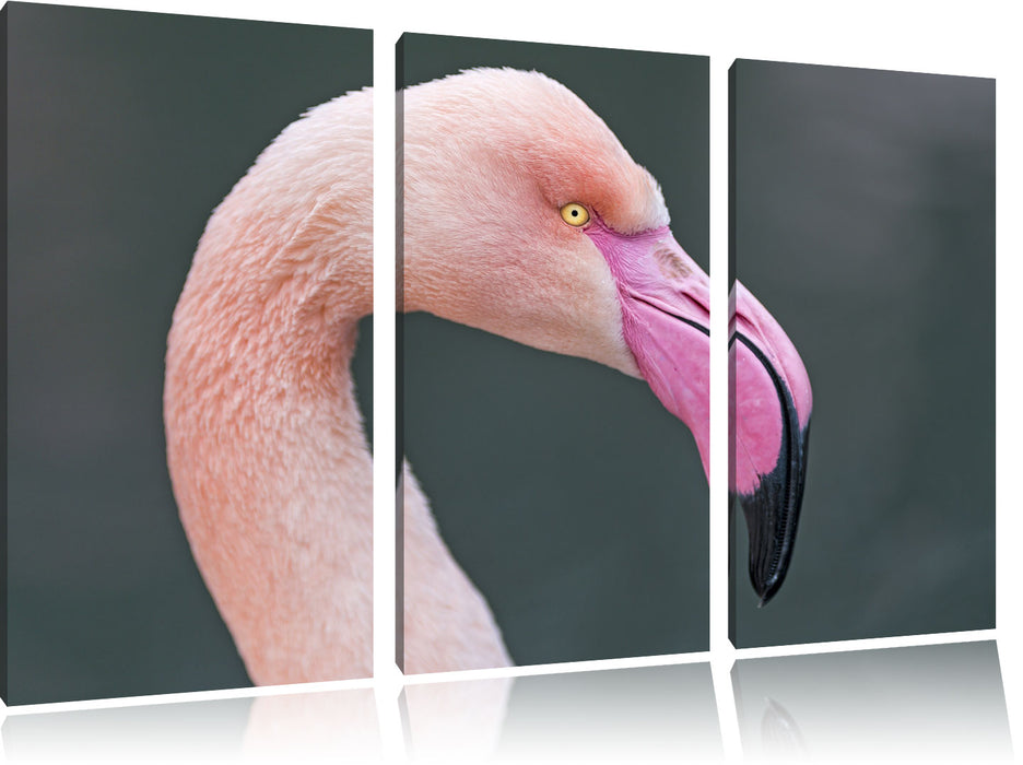 Flamingo im Seitenprofil Leinwandbild 3 Teilig