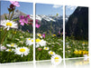 Wunderschöne Blumen Alpenwiese Leinwandbild 3 Teilig