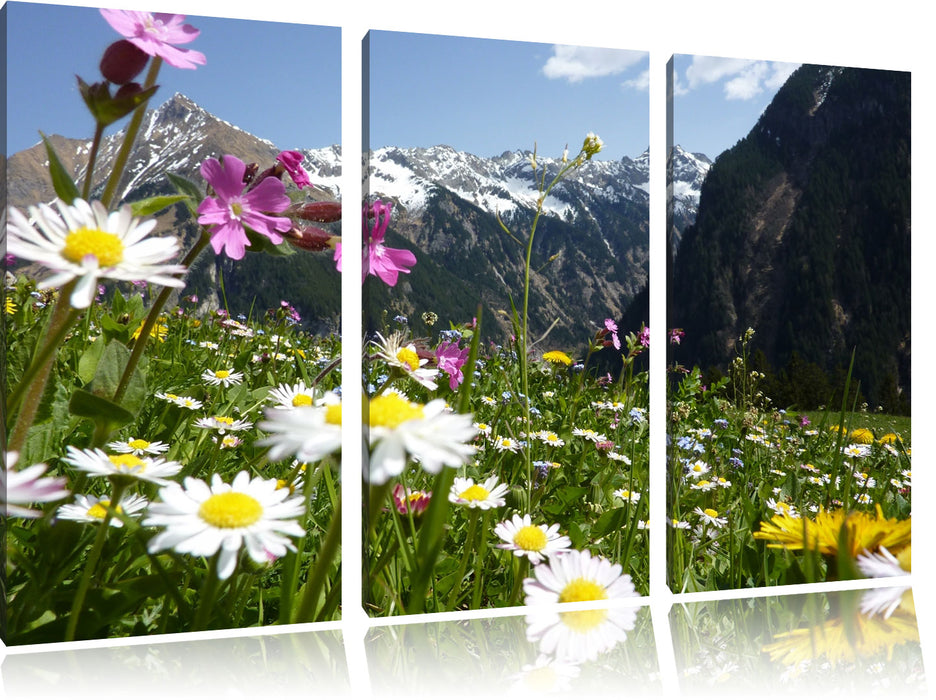 Wunderschöne Blumen Alpenwiese Leinwandbild 3 Teilig