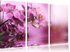 Wunderschöne Orchideenblüten Leinwandbild 3 Teilig