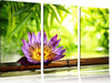 Seerose auf Bambus Wellness Leinwandbild 3 Teilig