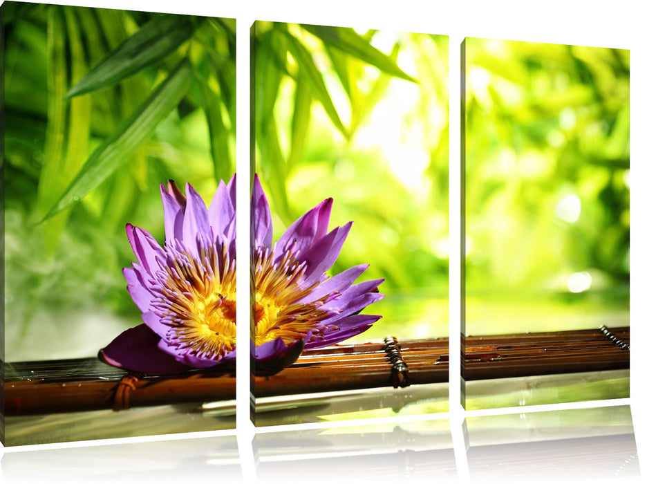Seerose auf Bambus Wellness Leinwandbild 3 Teilig