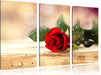 Rose auf Holztisch Leinwandbild 3 Teilig