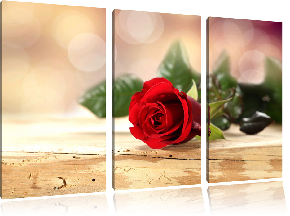 Rose auf Holztisch Leinwandbild 3 Teilig