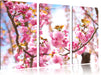 Schöne Kirschblüten Leinwandbild 3 Teilig