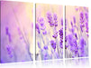 Lavendel im Retro Look Leinwandbild 3 Teilig