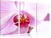 Prächtige Rosa Orchidee Leinwandbild 3 Teilig