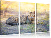 Ruhende Katze im Wald Leinwandbild 3 Teilig