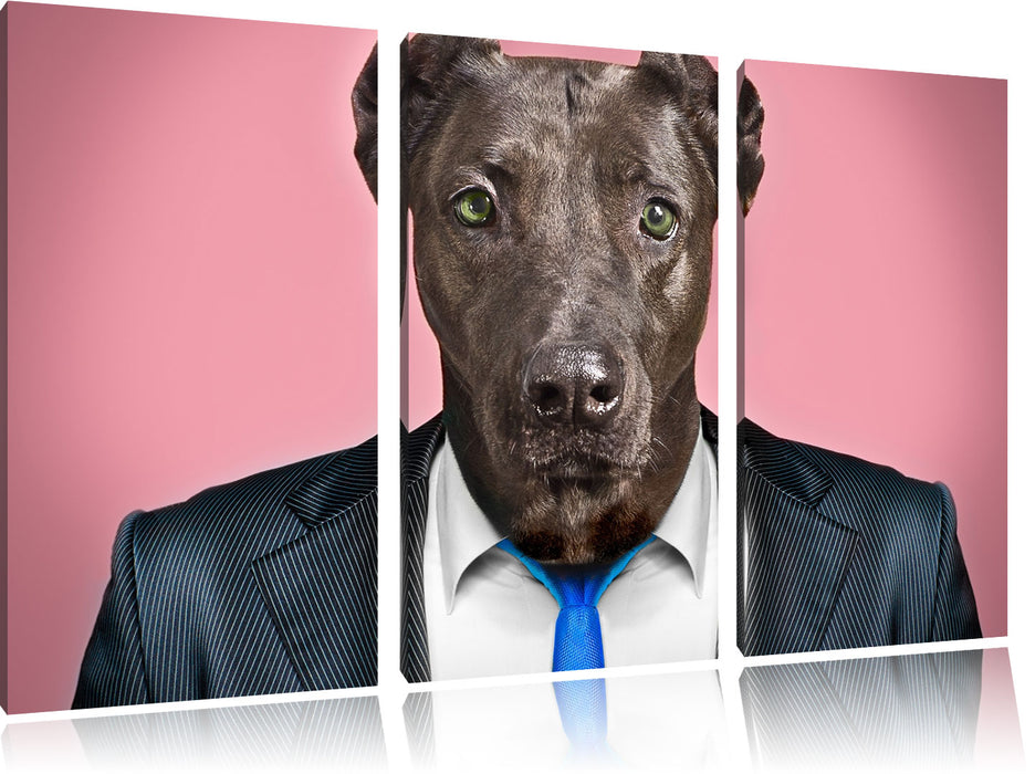Manager Hund mit Anzug Leinwandbild 3 Teilig