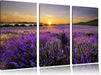Lavendelfeld in Frankreich Leinwandbild 3 Teilig
