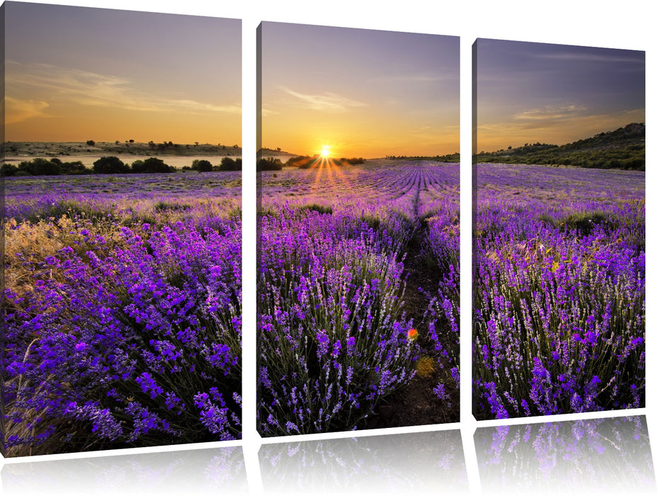 Lavendelfeld in Frankreich Leinwandbild 3 Teilig
