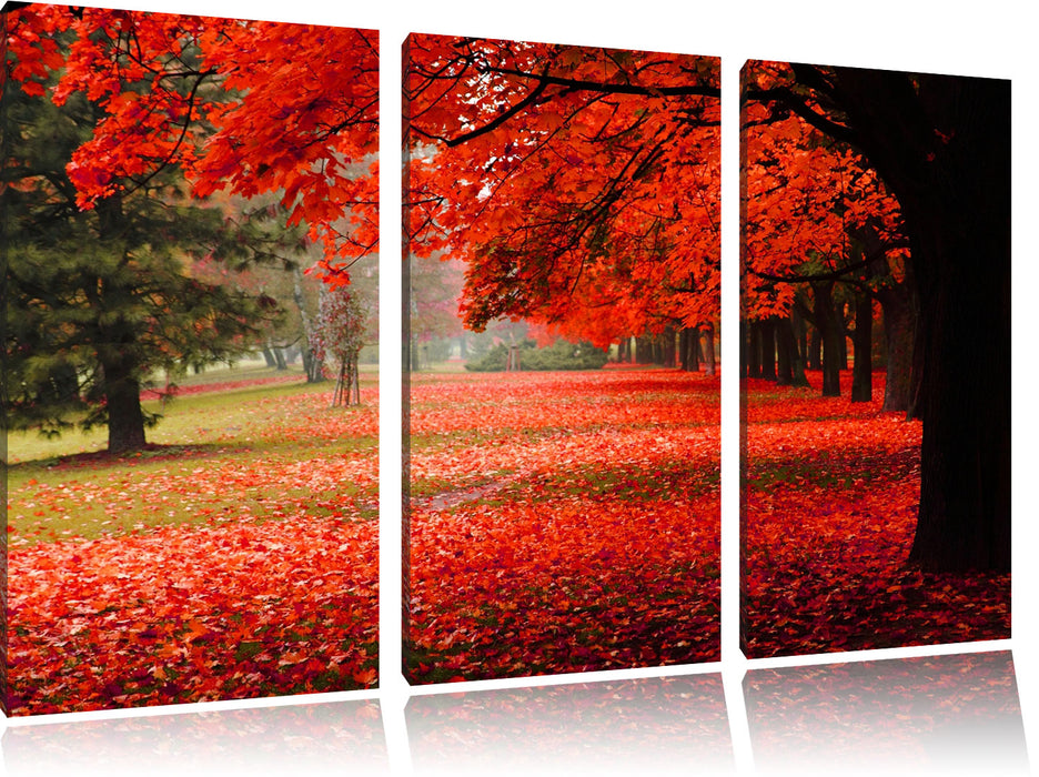Rot gefärbter Park im Herbst Leinwandbild 3 Teilig