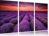 Lila Lavendel Provence Leinwandbild 3 Teilig