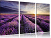 Lavendel Provence Landschaft Leinwandbild 3 Teilig