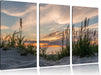 Gras am Strand bei Sonnenuntergang Leinwandbild 3 Teilig