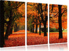 Baumallee im Herbst Leinwandbild 3 Teilig