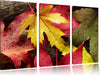 Bunte Herbstbläter Leinwandbild 3 Teilig