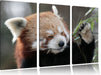 Kleiner Panda sagt Hallo Leinwandbild 3 Teilig