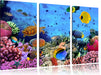 Fische über Korallenriff Leinwandbild 3 Teilig