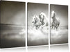 Pferde rennen im Wasser Leinwandbild 3 Teilig