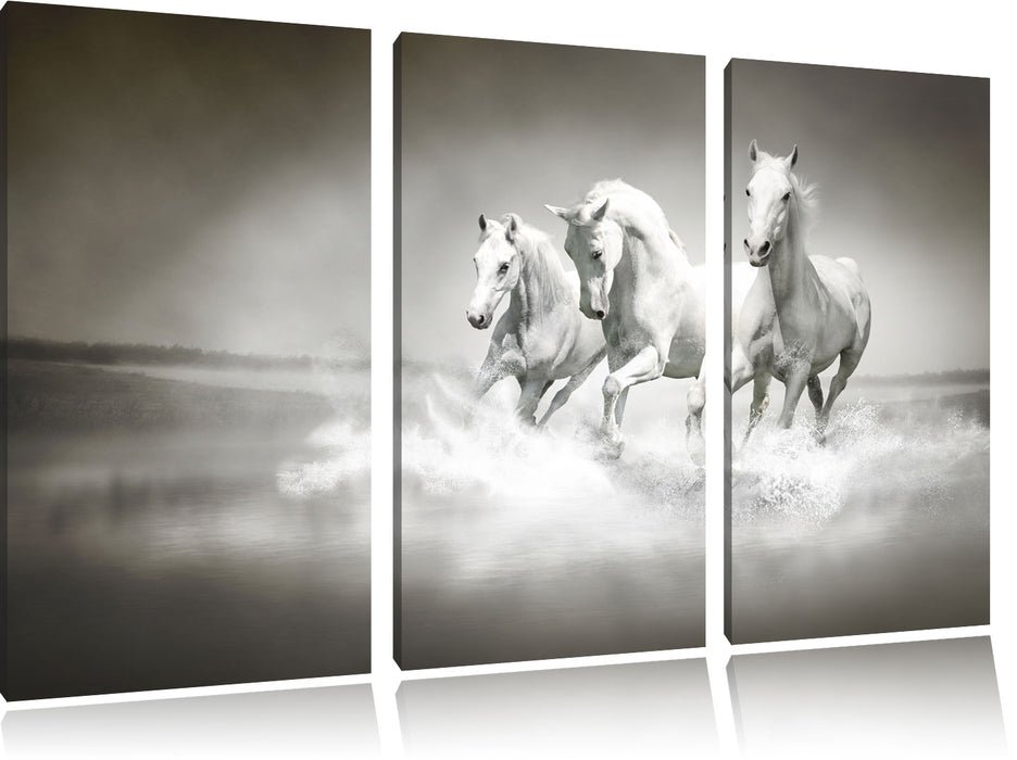 Pferde rennen im Wasser Leinwandbild 3 Teilig