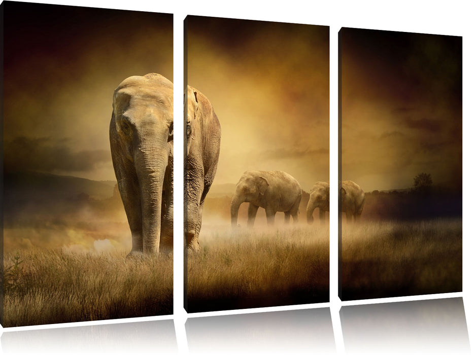 Prächtiger Elefanten in Steppe Leinwandbild 3 Teilig