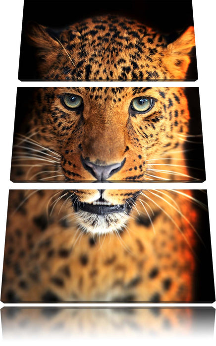 Stolzer Leopard Leinwandbild 3 Teilig