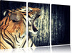 Brüllender Tiger Leinwandbild 3 Teilig