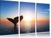 Walflosse im Sonnenuntergang Leinwandbild 3 Teilig