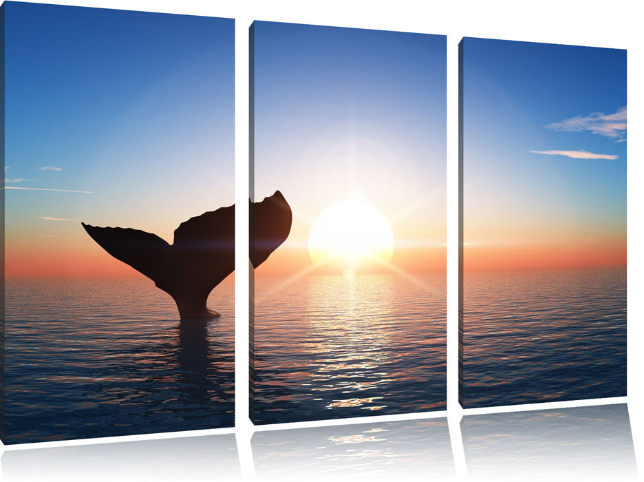 Walflosse im Sonnenuntergang Leinwandbild 3 Teilig