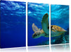 Schildkröte im Riff Leinwandbild 3 Teilig