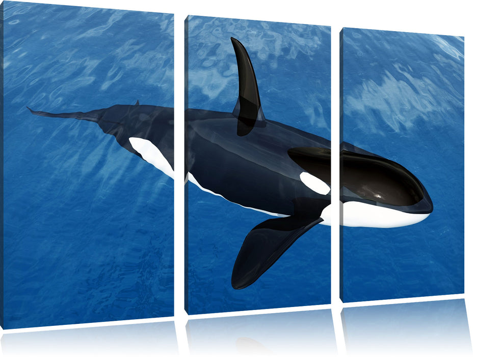 Orca im blauen Meer Leinwandbild 3 Teilig