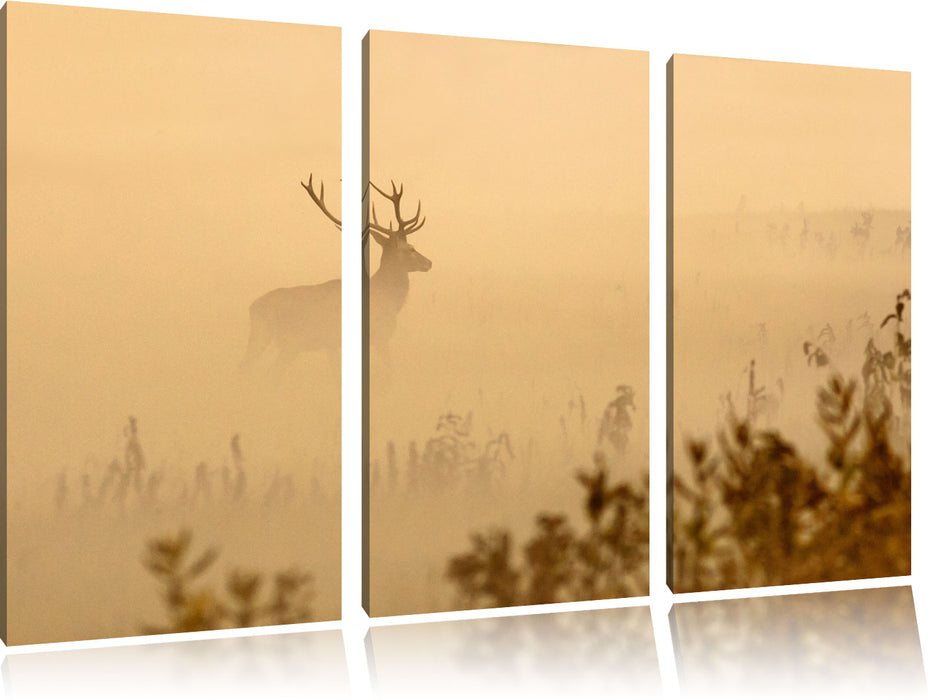 Hirsch im Nebel Leinwandbild 3 Teilig