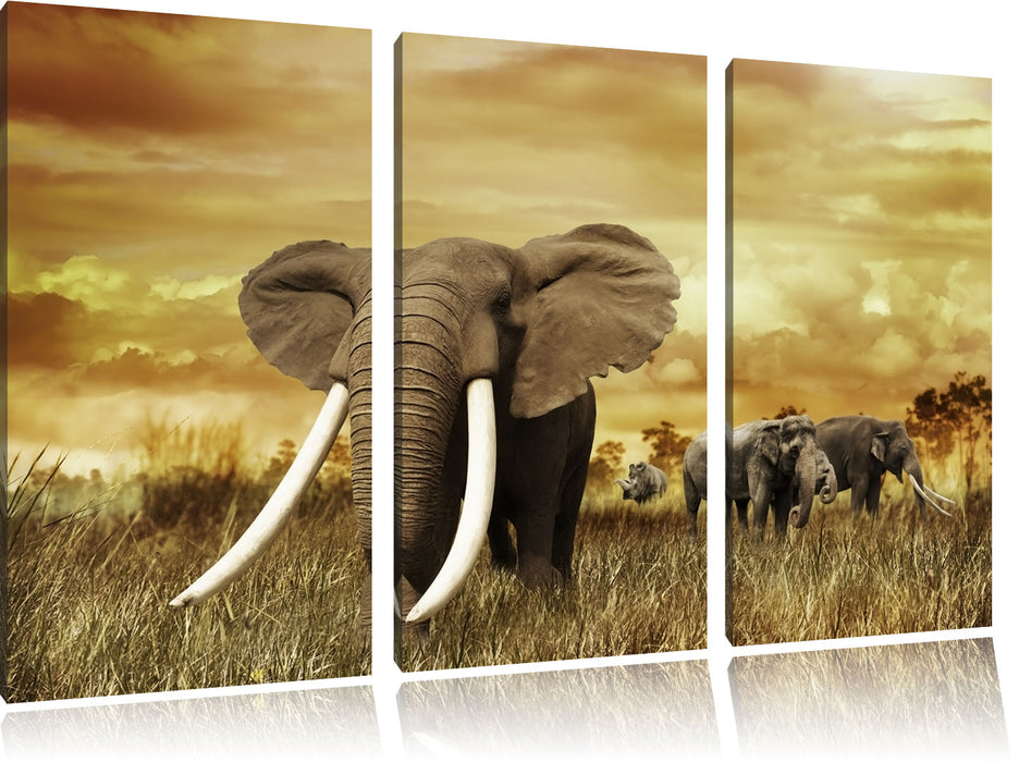 Stolzer Elefant in Savanne Leinwandbild 3 Teilig