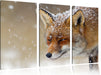 Fuchs im Schnee Leinwandbild 3 Teilig