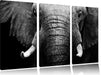 Elefant Porträ Leinwandbild 3 Teilig