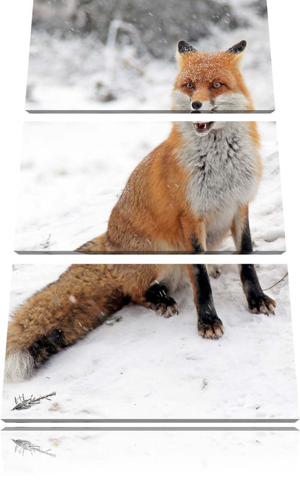 Fuchs im Schnee Leinwandbild 3 Teilig
