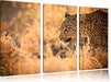 Jagender Leopard Leinwandbild 3 Teilig