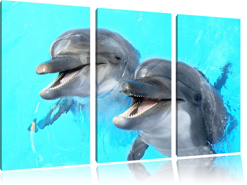 Delfinpaar Leinwandbild 3 Teilig