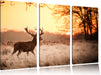 Hirsch im Sonnenuntergang Leinwandbild 3 Teilig