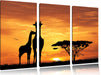 Giraffen im Sonnenuntergang Leinwandbild 3 Teilig