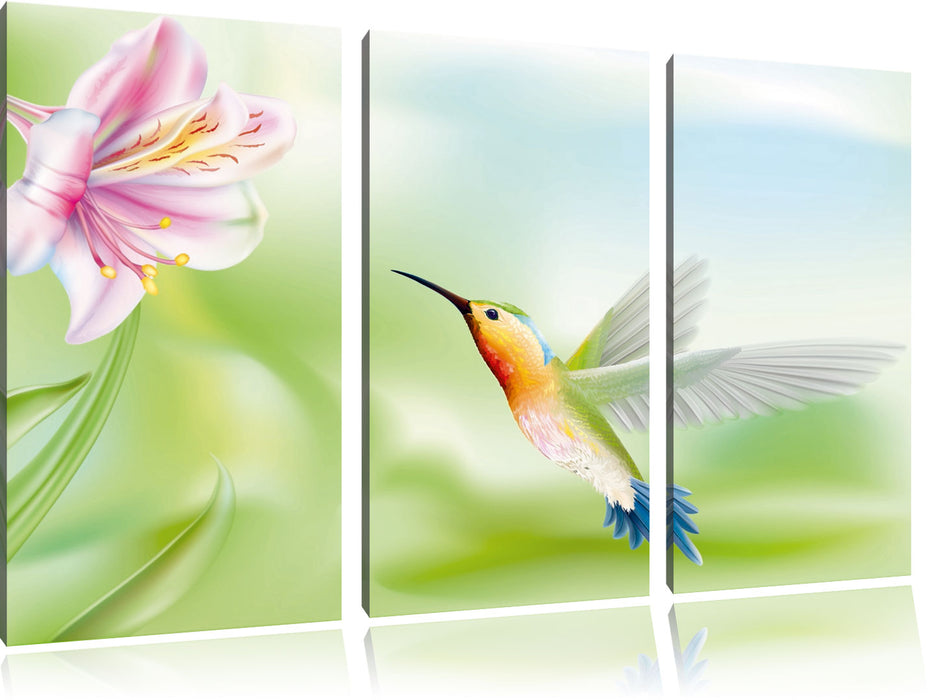 Wunderschöner Kolibri mit Blüte Leinwandbild 3 Teilig