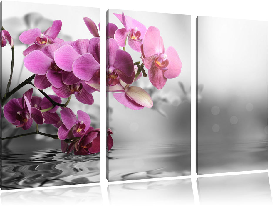 Orchideenblüten über Wasser Leinwandbild 3 Teilig