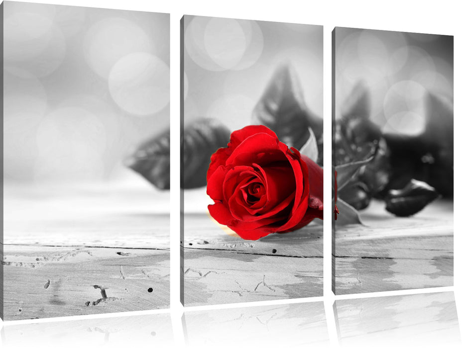 Rote Rose auf Holztisch Leinwandbild 3 Teilig