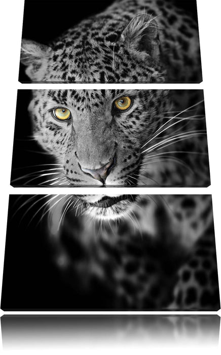 prächtig anmutiger Leopard Leinwandbild 3 Teilig