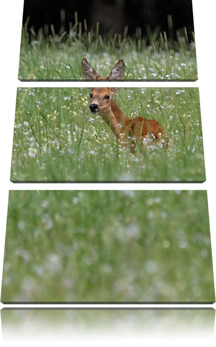 kleines Rehkitz auf Wiese Leinwandbild 3 Teilig