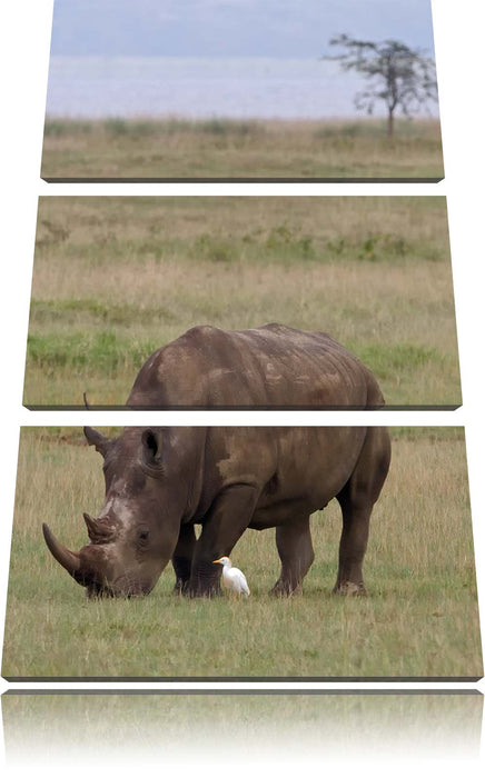 großes Nashorn beim Fressen Leinwandbild 3 Teilig