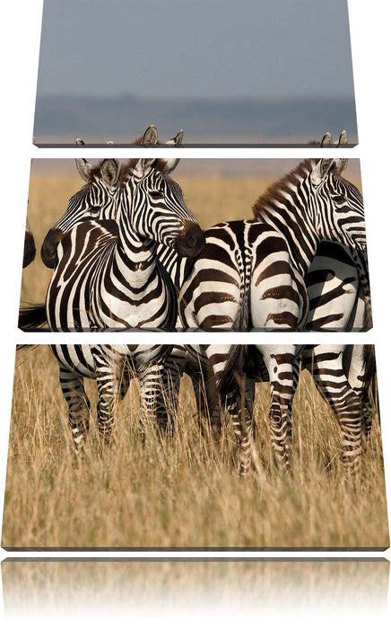 kleine Zebrahorde Leinwandbild 3 Teilig