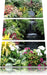 farbenfrohe Blumenoase Leinwandbild 3 Teilig